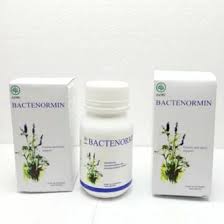 Bactenormin - apa manfaat - khasiat asli - efek samping - apa itu